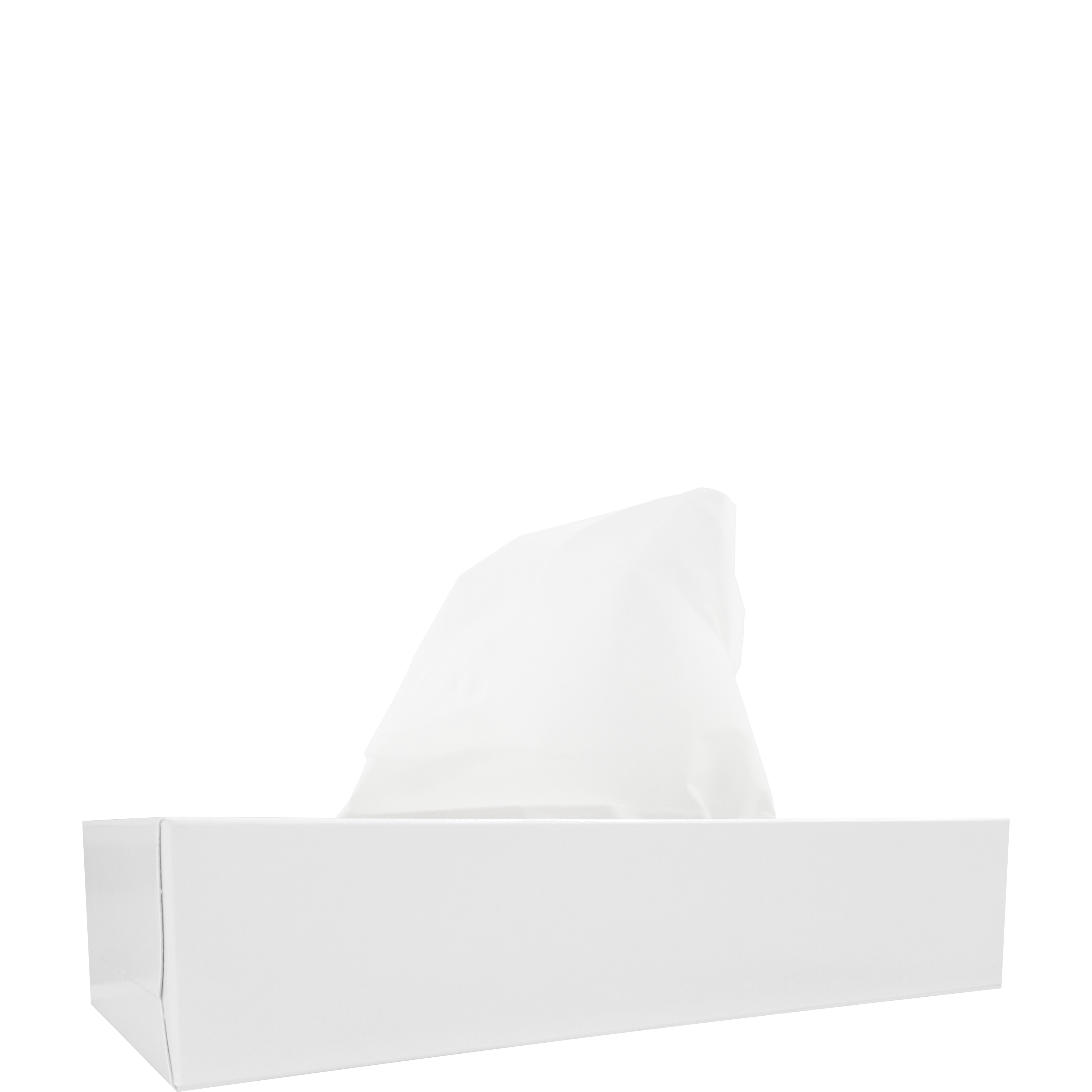 Facial tissues rectangle - 100 2-layered tissues